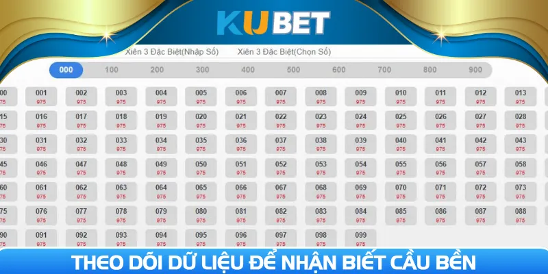 Theo dõi dữ liệu để nhận biết cầu bền